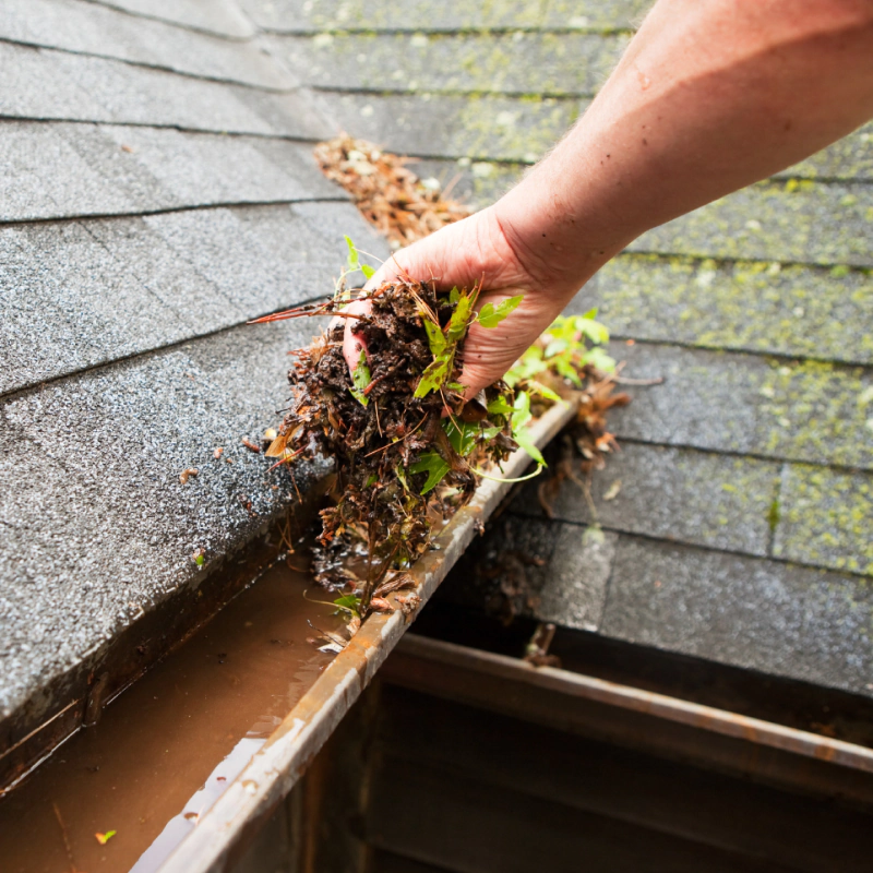 ongoing gutter cleaning